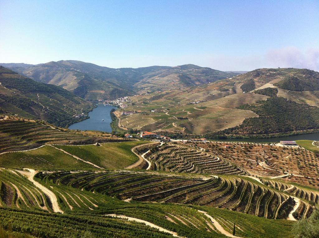 Camping Lamego Douro Valley Exteriör bild